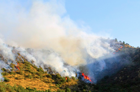 incendio bosco prato fumo