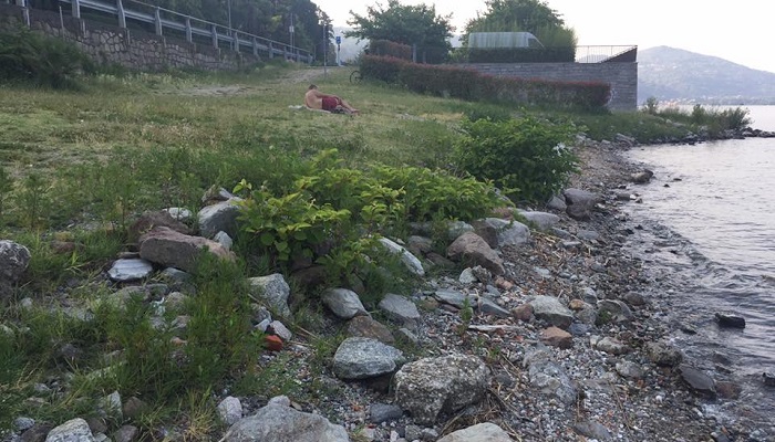 Degrado delle spiagge meinesi, interpellanza di Borroni