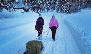 130872510 4902138423191583 3118958326803541976 o