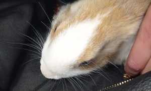 279513959 4911502995627700 4778423280900814009 n