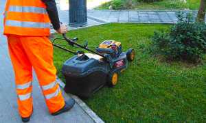60 manutenzione verde pubblico operaio