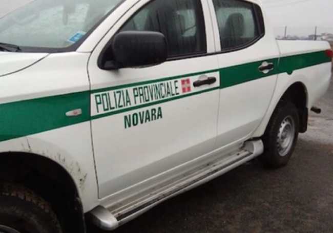 Auto polizia provincia