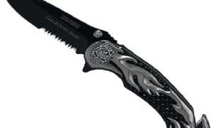 Borgosesia foto coltello a serramanico