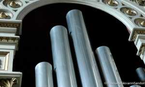 EGS2006 01758 fotoOrgano ChiesaSantaMariaArona fotoSandon