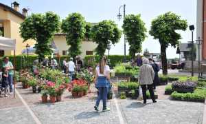 Giardinidea Gignese 2giugno 6