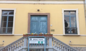 Lesa vaccini biblioteca avis