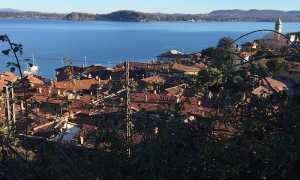 Lesa viista alto rovi