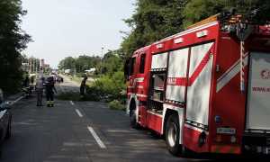 Paruzzaro Vigilidefuoco