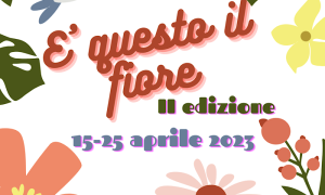 Questo fiore arona ca de pop