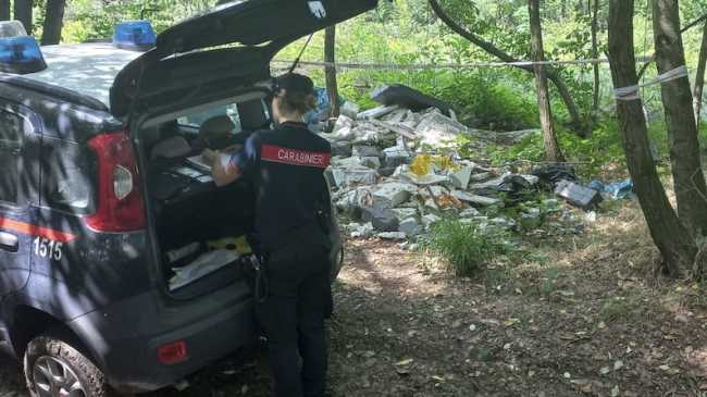 Rifiuti nei Boschi a Borgo Ticino 2