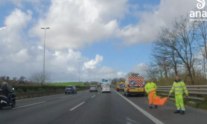 Schermata 2024 03 28 alle 12.06.47