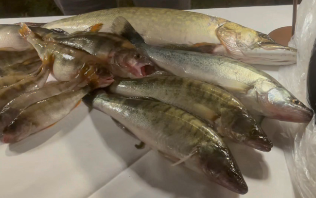 Schermata 2025 03 05 alle 16.41.11