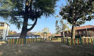 anna frank arona ott 25