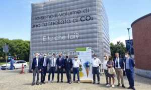 arona cubo