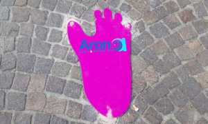 arona lake shopping impronta