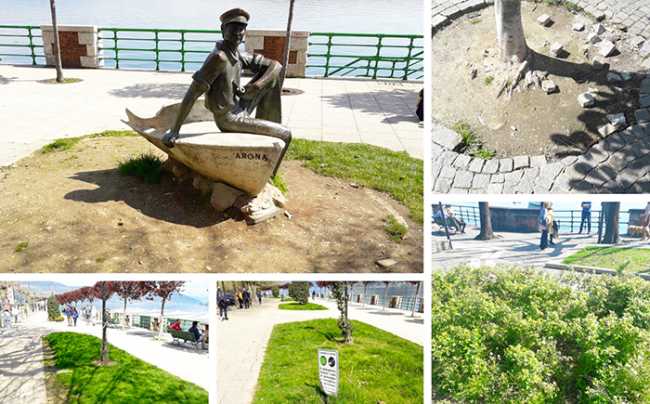 arona mix lungolago aiuole