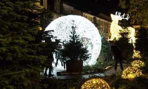 arona natale 12
