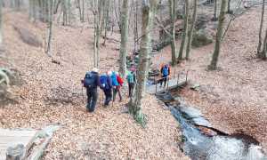 calpera fabbri bosco ponte autunno sentiero