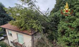 castelletto albero sopra abitazione