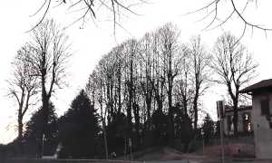 castelletto tigli parco sibilia