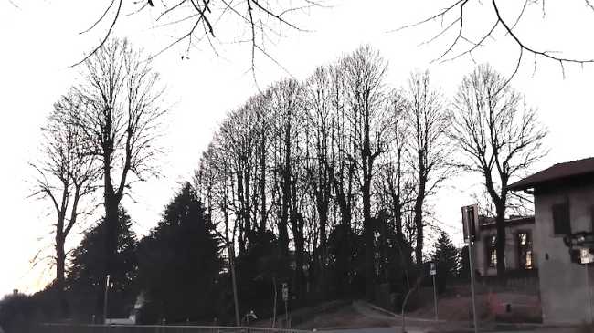 castelletto tigli parco sibilia