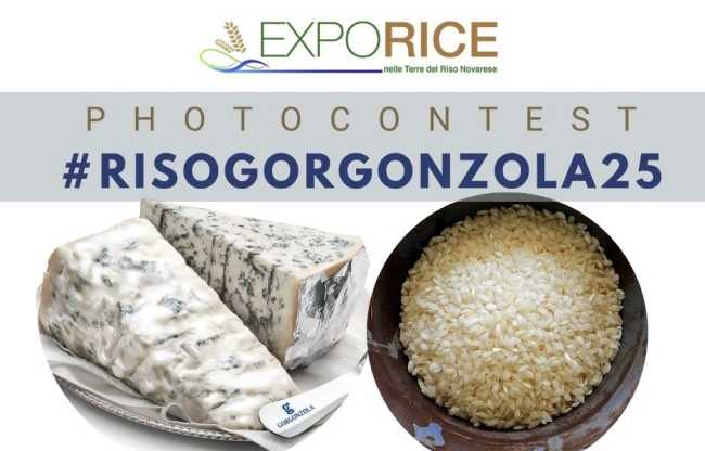 contest foto riso e gorgonzola 25