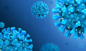 coronavirus disease covid 2019 5060427 6401