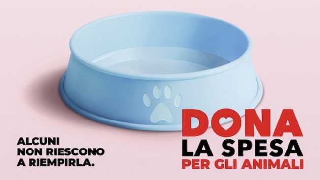 dona spesa animali lug 25