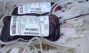 donazione sangue