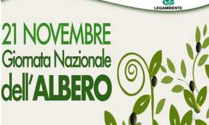 giornata albero
