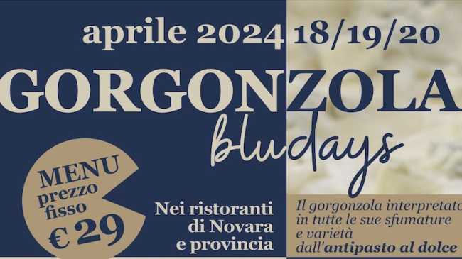 gorgonzola blu days