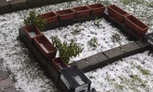 grandinata arona set 25