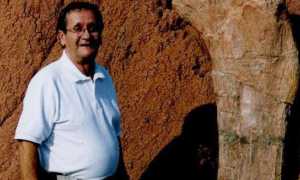 guazzoni aronese aronesi