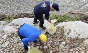 impronta civica gg ecologica 25