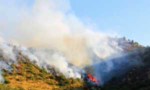 incendio bosco prato fumo