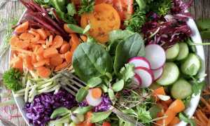 insalata cibo