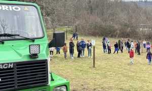 invorio gg alberi aib