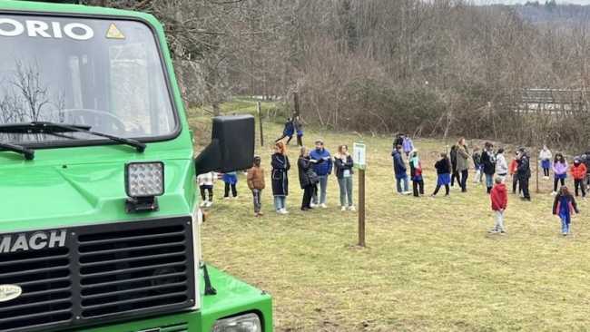 invorio gg alberi aib