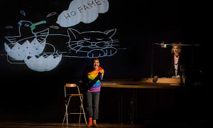 la gabbianella e il gatto