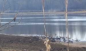 lagone arona siccita