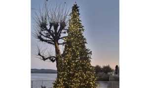 lesa albero natale luci