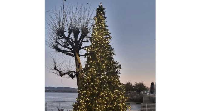 lesa albero natale luci