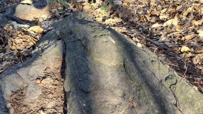 lesa archeologia rupestre