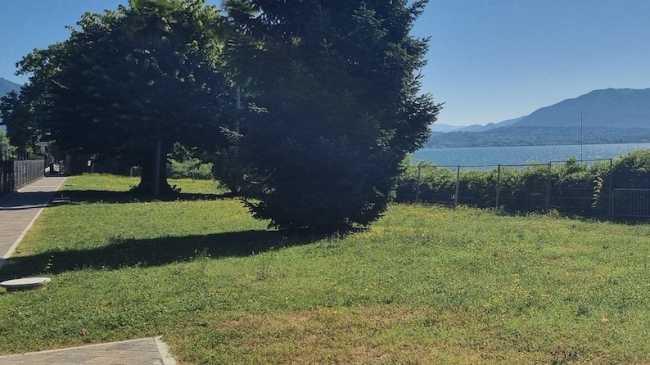 lesa giardino glicini