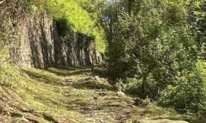 lesa interventi apr aib