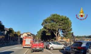 lesa intossicazione 2