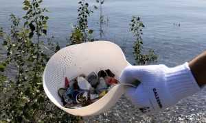 lesa raccolta micro rifiuti