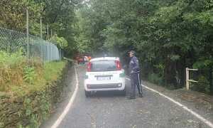 lesa situazione normale