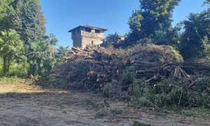 lesa sopralluogo cavallini 24