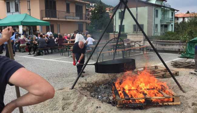 massino visconti castagne